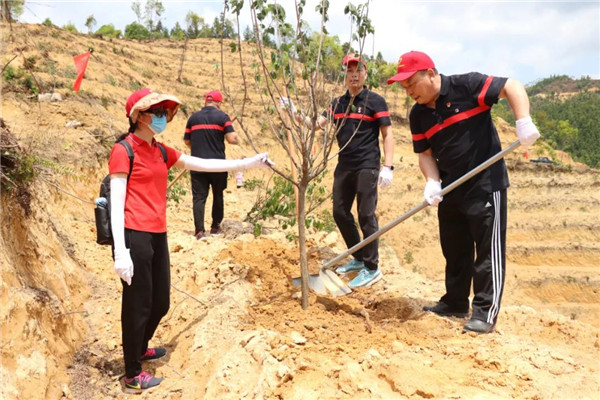 壹定发·(EDF)最新官方网站