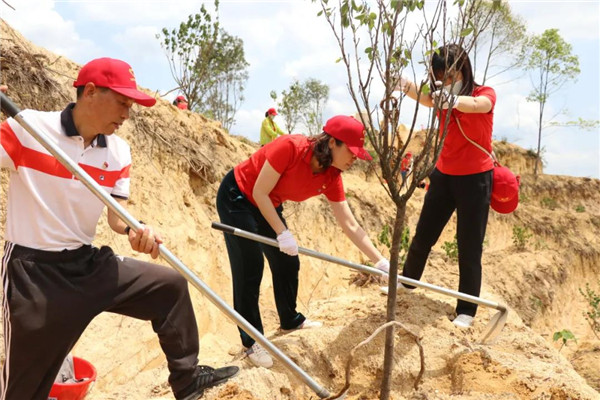 壹定发·(EDF)最新官方网站