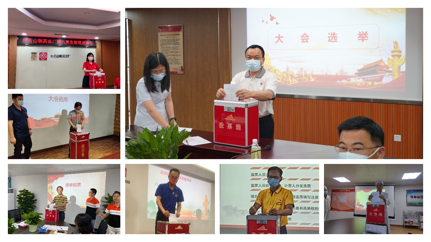 壹定发各党支部圆满实现换届选举工作