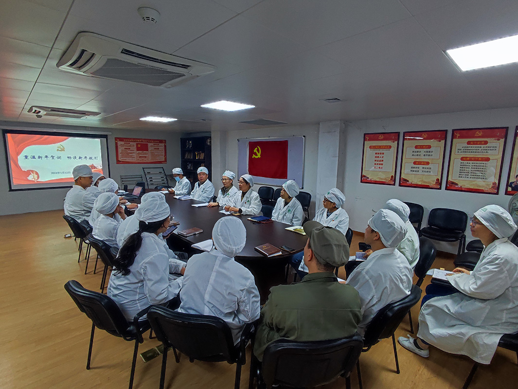 沉温新年贺词  畅谈新年规划——第二、三党支部发展主题党日活动